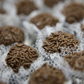 Brigadeiro